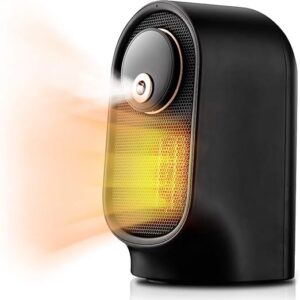 Mini Space Heater with Humidifier