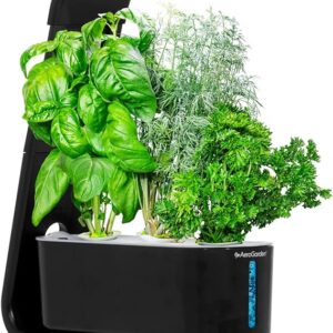 AeroGarden Sprout with Gourmet Herbs Seed Pod Kit
